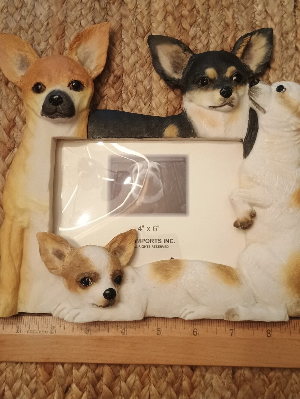 Photo Frame Chihuahua 4x6 Fit.